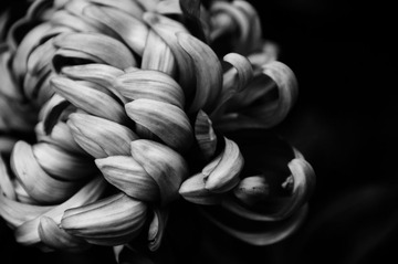 _DSC5299