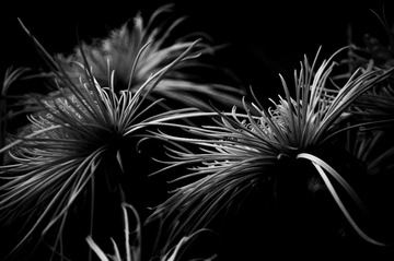 _DSC5381