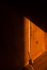 _DSC6954