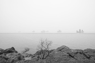 DSC_8816-5