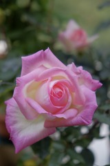 5BAE0B6B-2CFE-4BC2-82BE-BE39BA4E82FC/L0/001