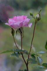 4AA37CDE-D44F-4D03-9015-BC77B96B2196/L0/001