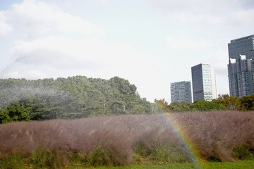 B050107F-5CFB-4D69-8A1B-B9CB4ED8B848/L0/001