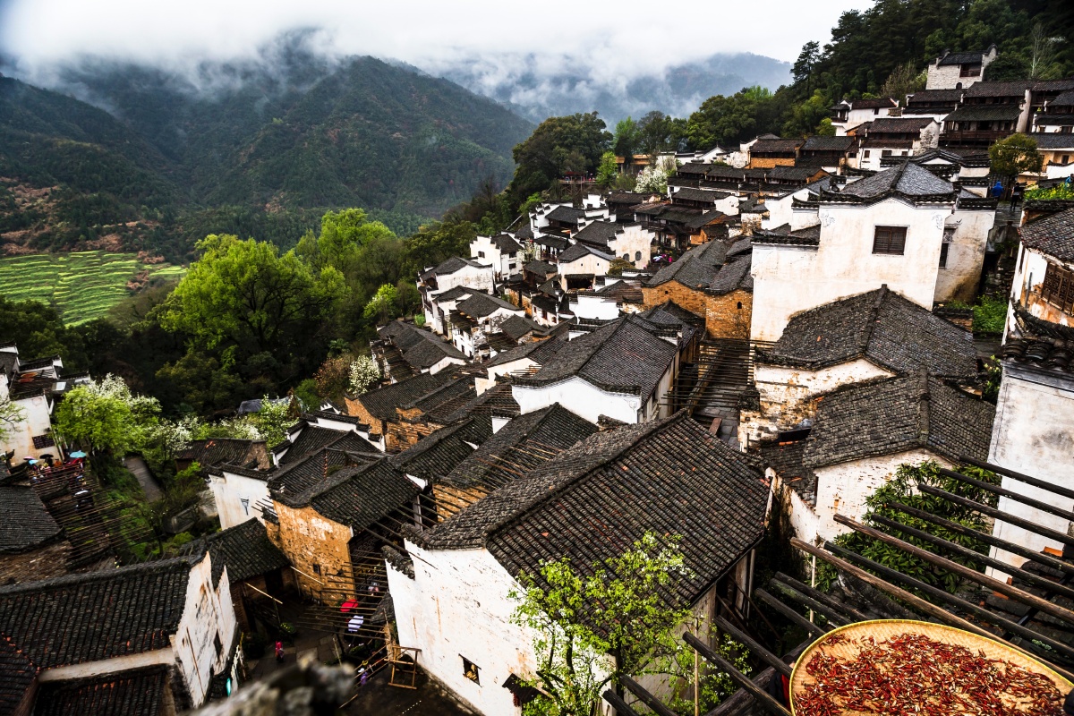烟雨婺源摄于江西婺源油菜花