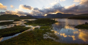IMG_2541.jpg