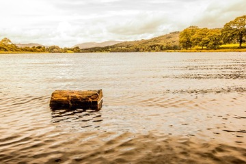 IMG_2917.jpg