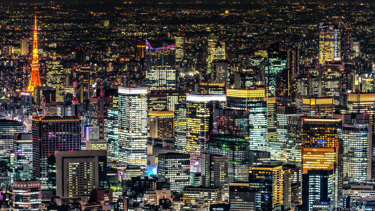 江户GDP_江户川柯南