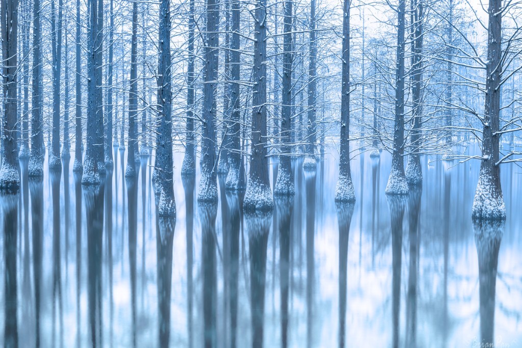  天降大雪，手佳的洪师傅一看这种鬼天气还来按摩，就知道明儿风光狗要出动了，战前来松松筋骨。他打趣儿道：“明儿去哪拍啊？”我依旧埋着头，轻轻的说了三个字，“止马岭”，洪师傅的手停了下来，“那里不能去，高速要封路，路面也会加冰，车会翻的，太不安全了！”我催促着洪师傅手别停，按完了可以早点回去休息。宽慰他道：“百里突袭止马岭，我为自己带盐。”