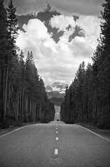 通向远山