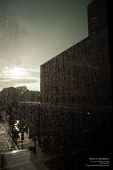 暴风雨中的光辉
