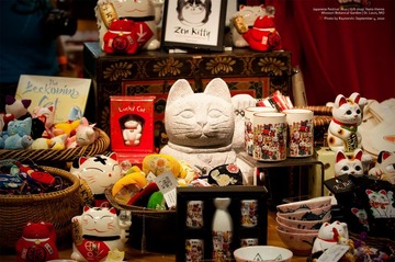 更多的猫...