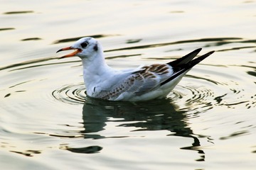 IMG_0081_副本.jpg