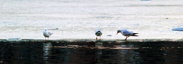 IMG_0090_副本.jpg