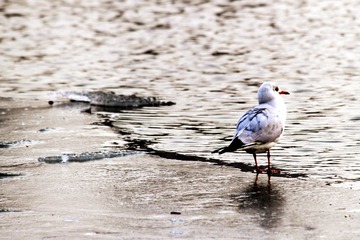 IMG_0112_副本.jpg