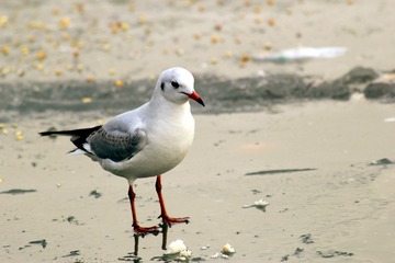 IMG_0123_副本.jpg