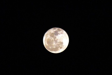 IMG_0361_副本.jpg