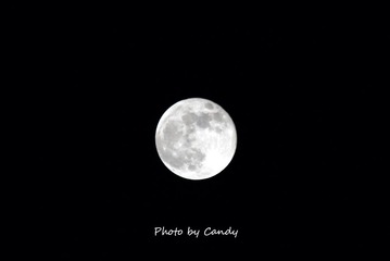 IMG_6251_副本.jpg