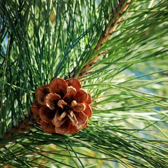 IMG_1065_副本.jpg