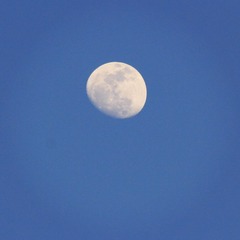 IMG_1081_副本.jpg