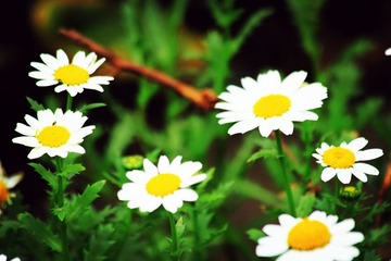 IMG_1090_副本.jpg