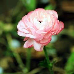 IMG_1108_副本.jpg