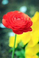 IMG_1109_副本.jpg