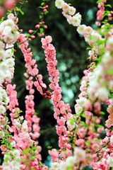 IMG_1120_副本.jpg