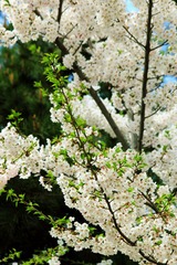 IMG_1139_副本.jpg