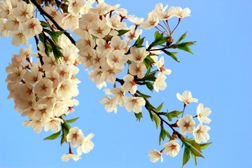 IMG_1145_副本.jpg