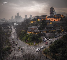 _DSC3610