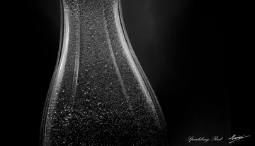 _DSC4419