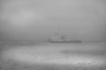 _DSC5138