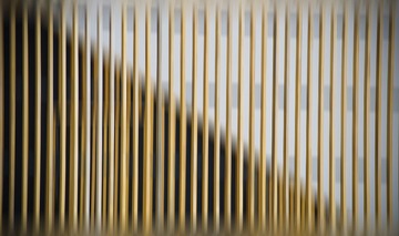 _DSC8607