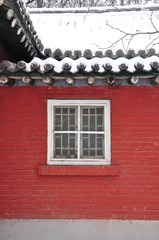 雪后