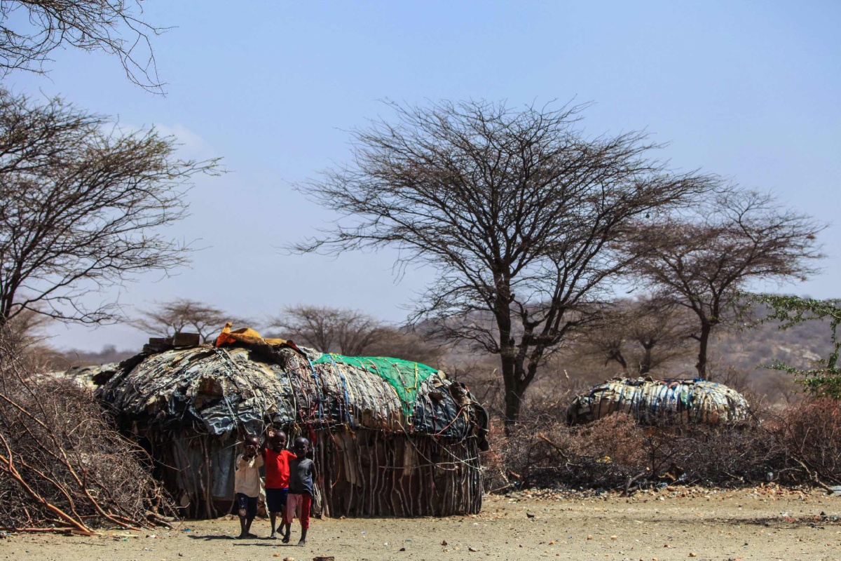 回顾整理一下,非洲的照片