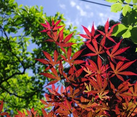 P1020060.jpg