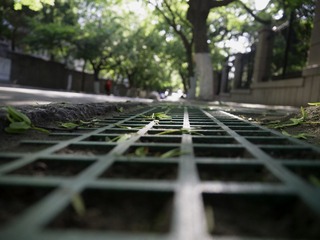 P1020098.jpg