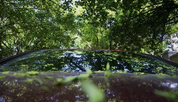 P1020108.jpg