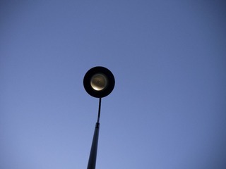 P1020111.jpg