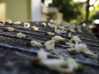 P1020115.jpg