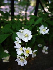 P1020124.jpg