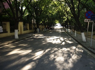 P1020130.jpg
