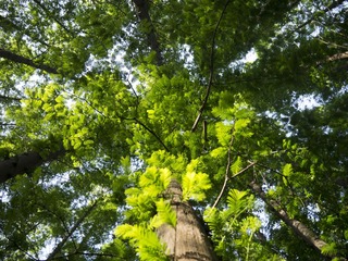 P1020136.jpg