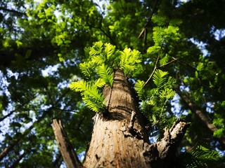 P1020137.jpg