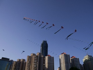 P1020142.jpg