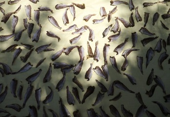P1020152.jpg