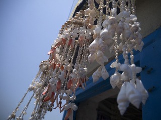 P1020159.jpg
