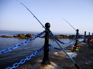 P1020172.jpg