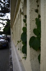 P1020205.jpg