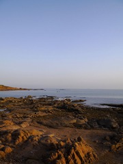 P1020211.jpg